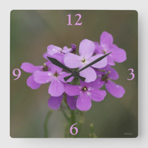 F19 Purple Wildflowers Dames Rocket Quadratische Wanduhr