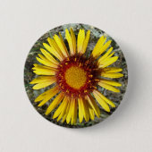 F1 Gelbe Wildblume Gaillardia Button (Vorderseite)