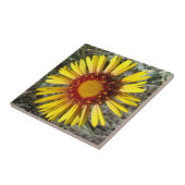 F1 Gelbe Wildblume Gaillardia Fliese (Seite)