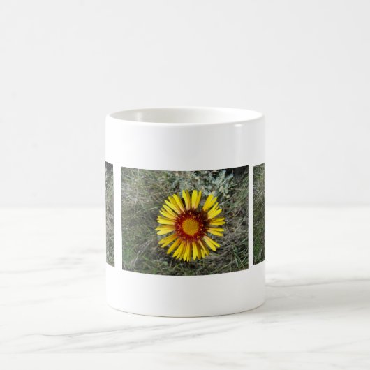 F1 Gelbe Wildblume Gaillardia Kaffeetasse (Mittel)