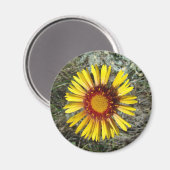 F1 Gelbe Wildblume Gaillardia Magnet (Vorderseite/Rückseite)