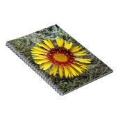 F1 Gelbe Wildblume Gaillardia Notizblock (Rechte Seite)