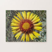 F1 Gelbe Wildblume Gaillardia Puzzle (Horizontal)