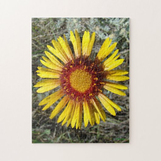 F1 Gelbe Wildblume Gaillardia Puzzle (Vertikal)