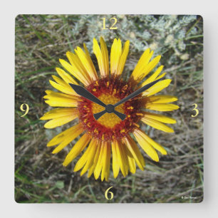 F1 Gelbe Wildblume Gaillardia Quadratische Wanduhr