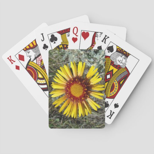F1 Gelbe Wildblume Gaillardia Spielkarten (Rückseite)