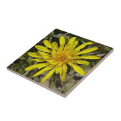 F21 Gelbe Wildblume Schmalblättriger Falkenbart Fliese (Seite)