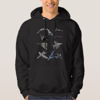 F22 Raptor F18 Hornet F4 Tomcat F35 F15 F16 F117 A
