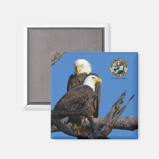 F23 & M15 - Eine neue Ära im Nest Magnet (Vorderseite/Rückseite)