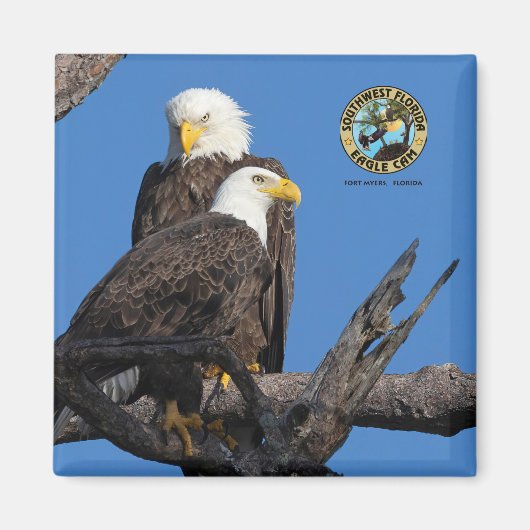 F23 & M15 - Eine neue Ära im Nest Magnet (Vorne)