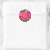 F23w Wild-Rose Runder Aufkleber (Tasche)