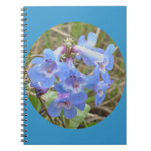 F28 Blaue Wildblumen Schlanke Blaue Bartglocke Notizblock
