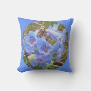 F28w Blaue Wildblumen Schlanke Blaue Bartfaden Kissen