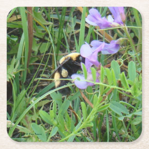 F2 Biene auf lila Wildblume Rechteckiger Pappuntersetzer
