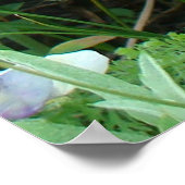 F2 Biene auf Lila Wildblumen Poster (Ecke)