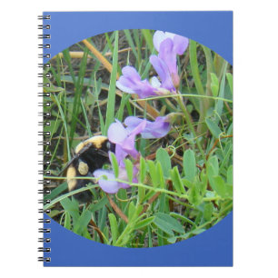 F32a Biene auf lila Wildblumen Notizblock