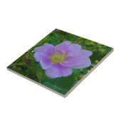 F37 Wilde Rose Fliese (Seite)