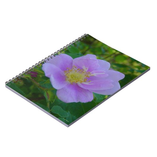 F37 Wilde Rose Notizblock (Linke Seite)