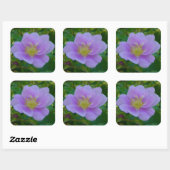 F37 Wilde Rose Quadratischer Aufkleber (Blatt)