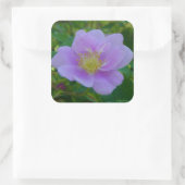 F37 Wilde Rose Quadratischer Aufkleber (Tasche)