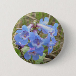 F3 Blaue Wildblumen Schlanke Blaue Bartfaden Button