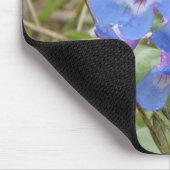 F3 Blaue Wildblumen Schlanke Blaue Bartfaden Mousepad (Ecke)