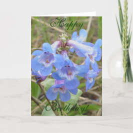 F3 Blaue Wildblumen schlanker Blauzungenkraut Karte