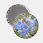 F3 Blaue Wildblumen schlanker Blauzungenkraut Magnet (Vorderseite/Rückseite)