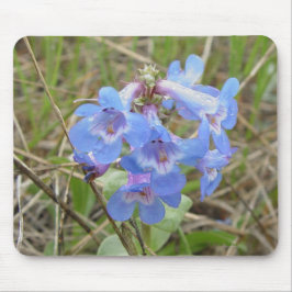 F3 Blaue Wildblumen schlanker Blauzungenkraut Mousepad