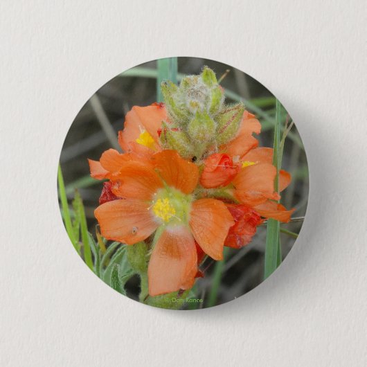 F40 Orange Wilde Blumen Scharlach-Malve Button (Vorderseite)