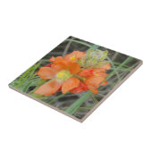 F40 Orangefarbene Wildblumen Fliese (Seite)