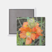 F40 Orangefarbene Wildblumen Magnet (Vorderseite/Rückseite)