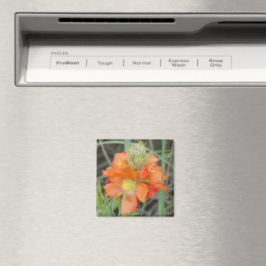 F40 Orangefarbene Wildblumen Magnet (In Situ (Geschirrspüler))