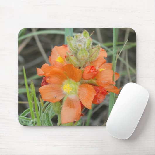 F40 Orangefarbene Wildblumen Mousepad (Mit Mouse)