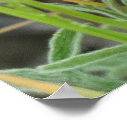 F40 Orangefarbene Wildblumen Poster (Ecke)