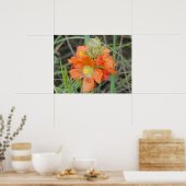 F40 Orangefarbene Wildblumen Poster (Küche)