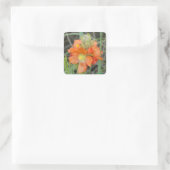 F40 Orangefarbene Wildblumen Quadratischer Aufkleber (Tasche)