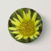 F41 Gelbe Wildblume Ziegenbart Button (Vorderseite)