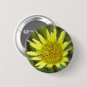 F41 Gelbe Wildblume Ziegenbart Button (Vorne & Hinten)