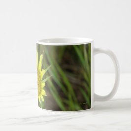 F41 Gelbe Wildblume Ziegenbart Kaffeetasse