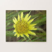 F41 Gelbe Wildblume Ziegenbart Puzzle (Horizontal)