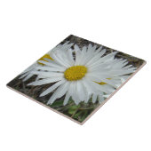 F42 Weiße Wildblumen glatter Aster Fliese (Seite)