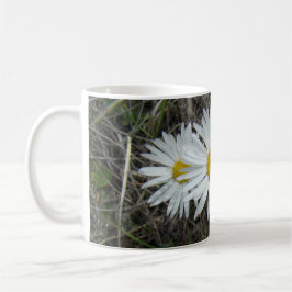 F42 Weiße Wildblumen glatter Aster Kaffeetasse