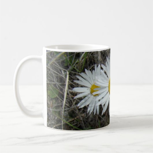 F42 Weiße Wildblumen glatter Aster Kaffeetasse (Links)