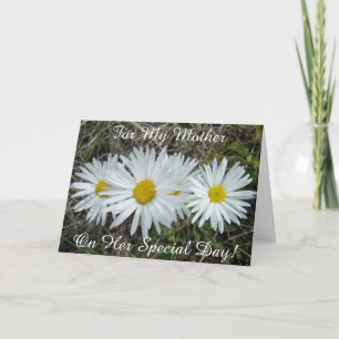 F42 Weiße Wildblumen Glatter Aster Karte