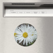 F42 Weiße Wildblumen glatter Aster Magnet (In Situ (Geschirrspüler))