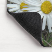 F42 Weiße Wildblumen Glatter Aster Mousepad (Ecke)