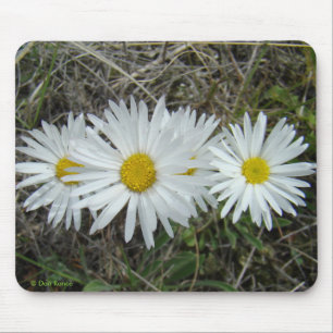 F42 Weiße Wildblumen Glatter Aster Mousepad