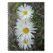 F42 Weiße Wildblumen glatter Aster Notizblock (Vorderseite)