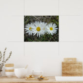 F42 Weiße Wildblumen glatter Aster Poster (Küche)